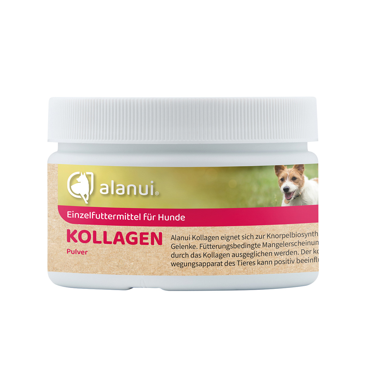 alanui Kollagen Hydrolysat (PETAGILE® SP) für Hunde, 100 g Dose